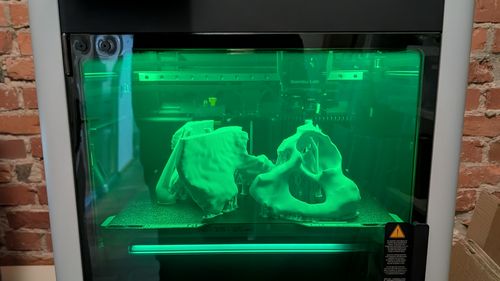 Der 3D-Drucker ist ein Kasten mit Fenster, hinter dem es grün leuchtet. Bereits gedruckte Knochenmodelle sind sichtbar.