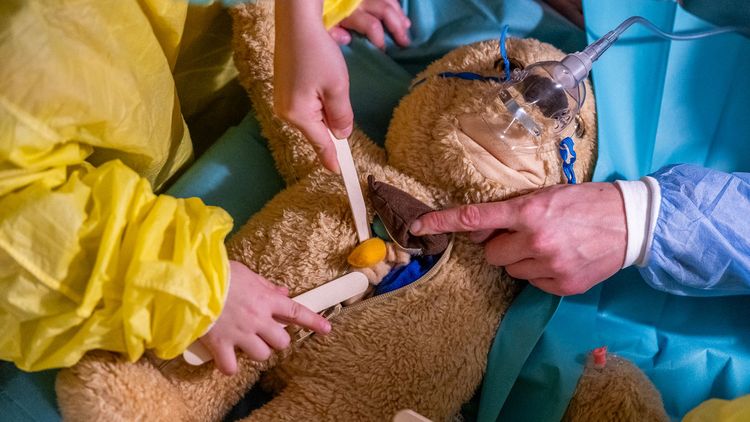Der Reißverschluss eines Teddybauchs ist geöffnet. Daran sind Plüschorgane zu erkennen. Kinderhände operieren an dem Teddy.
