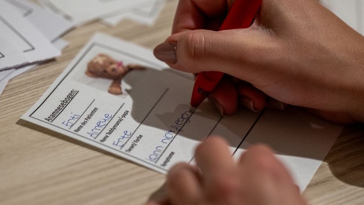 Der Diagnosebogen von Kuscheltier Enti. Sein Problem: kann nicht fliegen.