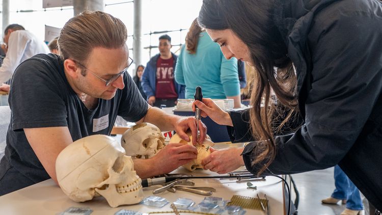 Ein Mann und eine junge Frau sind über einen Schädel gebeugt, an dem Metallteile zu sehen sind, die sie mit einem Schraubenzieher bearbeiten.