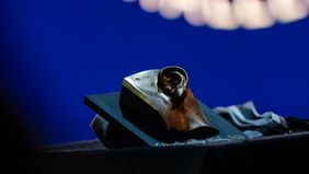 Der Award hat die Form eines goldenen Ohrs mit angrenzendem Gesicht.