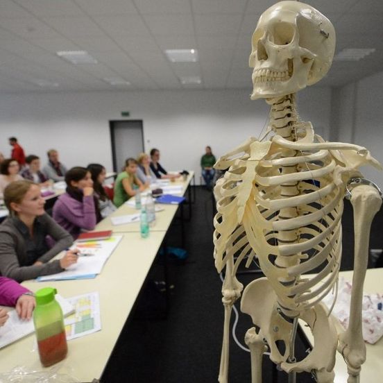 Das Bild zeigt einen Seminarraum, in dem Studierende sitzen. Im Vordergrund steht ein nachgebildetes Skelett eines menschlichen Körpers.